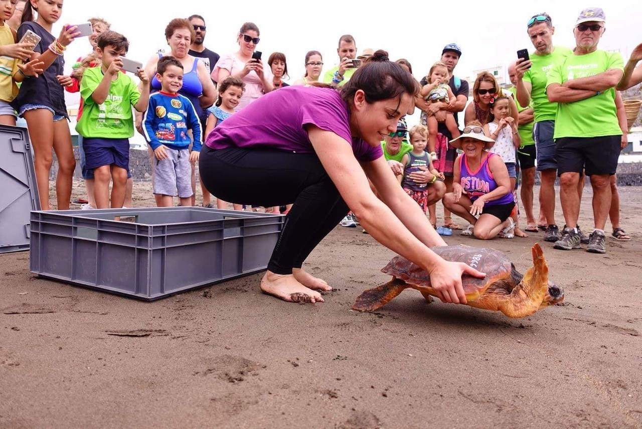 Loro Parque Fundación y la carrera Dialprix Blue Running  aúnan fuerzas en favor de las tortugas marinas